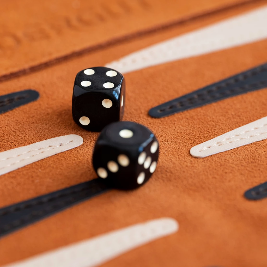 Reise-Backgammon