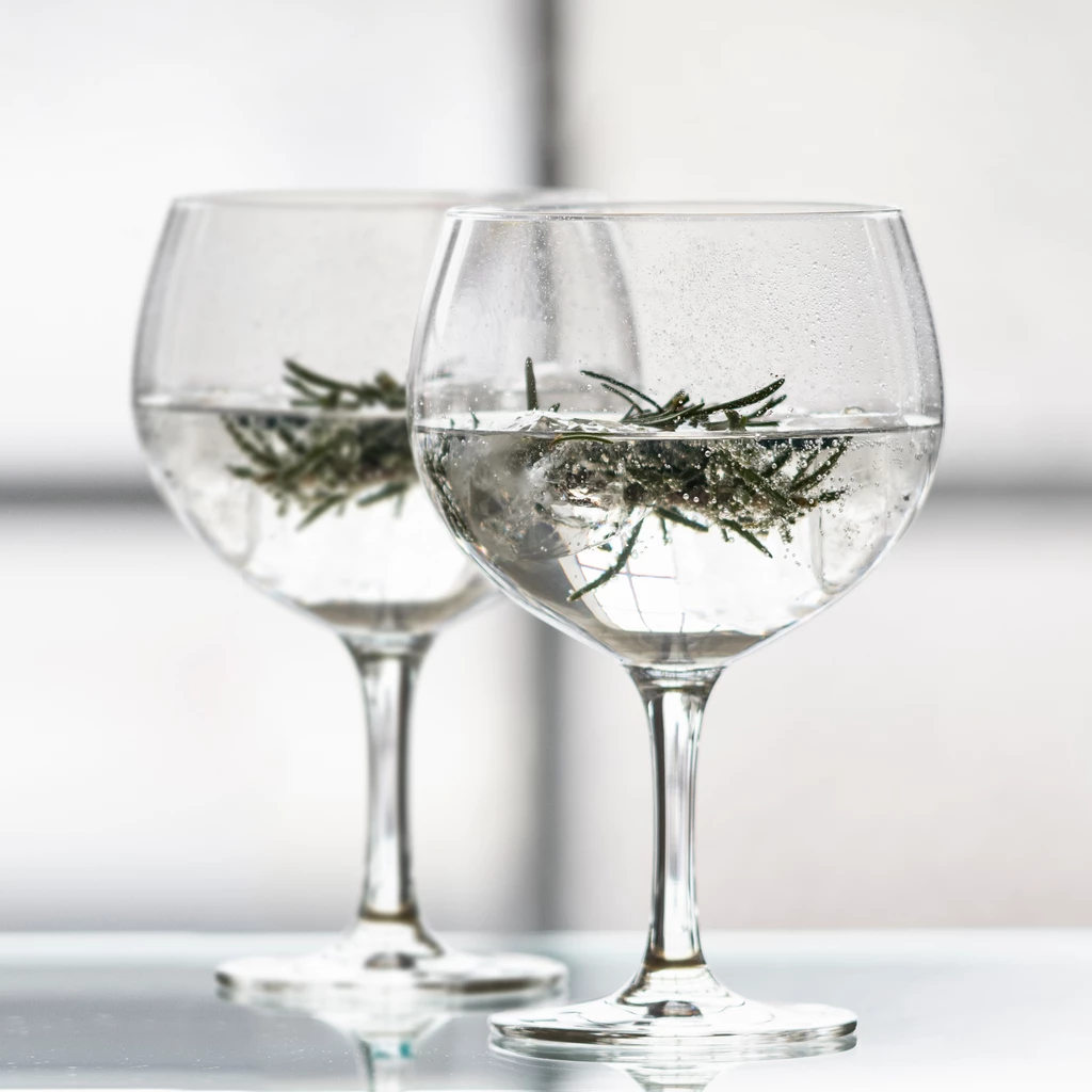 Zwiesel Gin Tonic Gläser 2er-Set