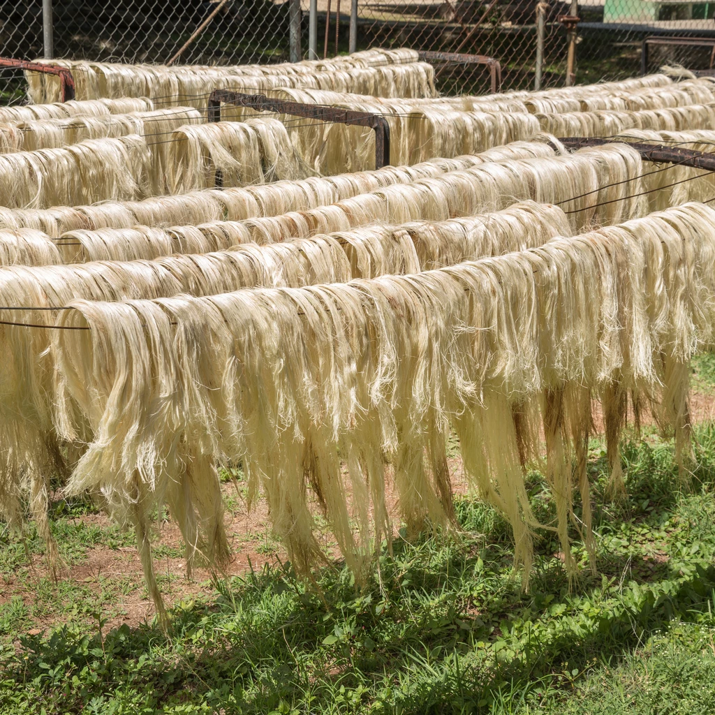 Sisalteppich Bouclé Khaki 240 x 300 cm
