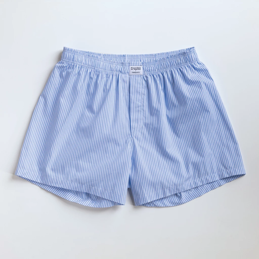 Ferreira de Almeida X Torquato Boxershorts Blau gestreiftXXL