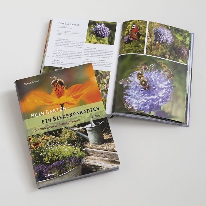 Buch: Mein Garten - Ein Bienenparadies