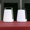 Fermob Lampe BALAD2 Kaktus - 2