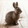 Holzkaninchen - 3