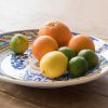 Obstplatte Ruggeri Elena d Angio - 2